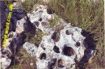 «Ай – Петри» - природный камень