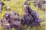 Камень степной «Дикарь»